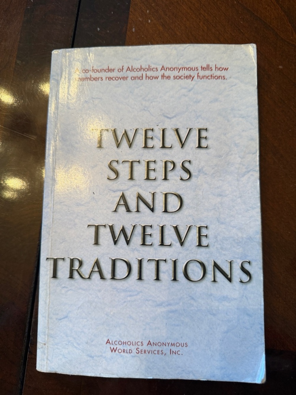 Twelve Steps and Twelve Traditions - Light Blue